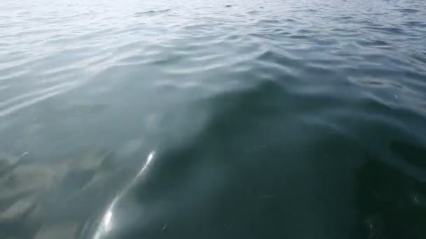 Поверхность воды с лодки — стоковое видео