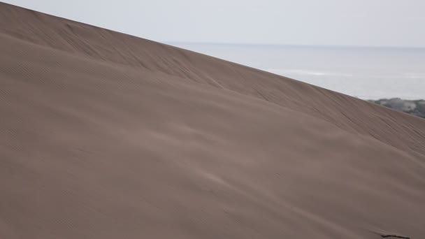 与城市和海洋的沙丘 — 图库视频影像