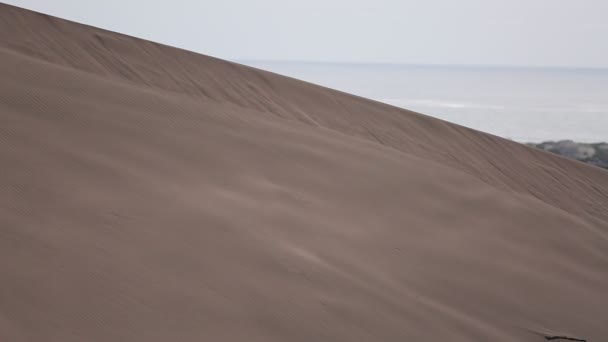 Dunas de arena con ciudad y océano — Vídeos de Stock