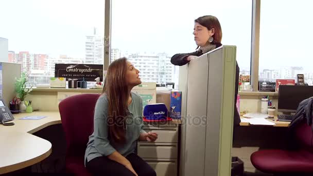 Mujeres conversando en la oficina — Vídeos de Stock