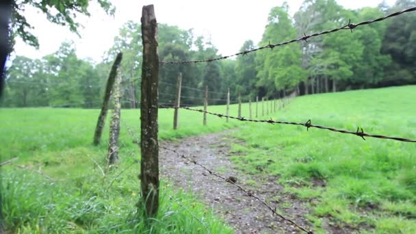 Загородный забор — стоковое видео