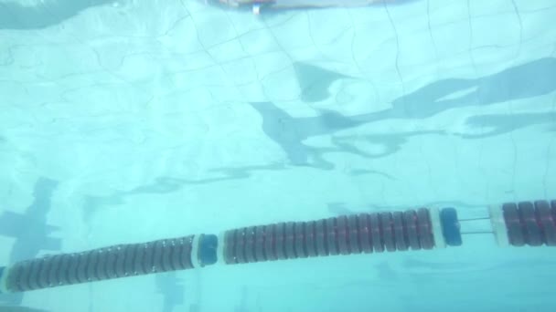 Natation nageuse en piscine — Video