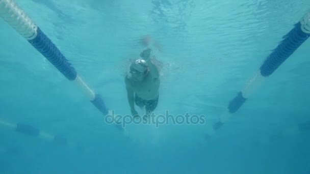 Nadador nadando en la piscina — Vídeos de Stock