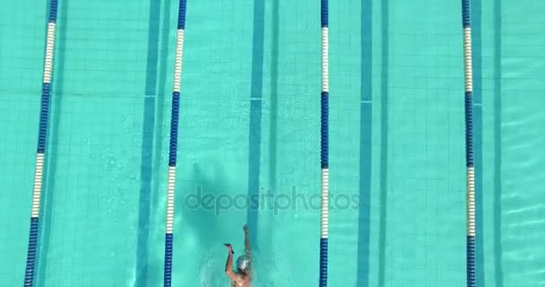 Nadador nadando en la piscina — Vídeos de Stock