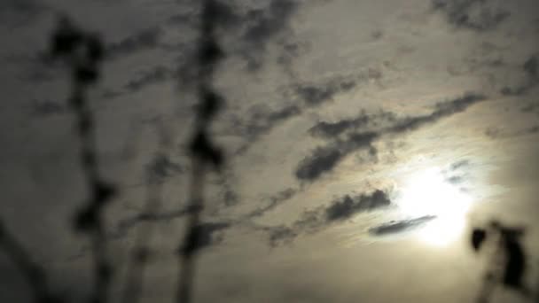 Nuvole vistose contro un sole che tramonta — Video Stock