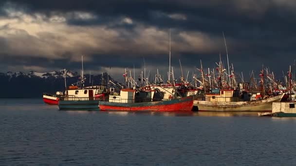 Amplo tiro de barcos no oceano — Vídeo de Stock