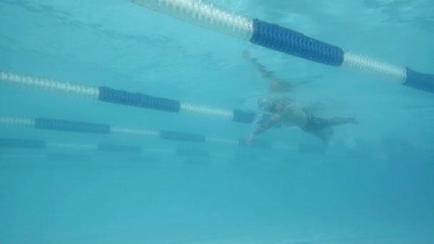 游泳者在游泳池里游泳 — 图库视频影像