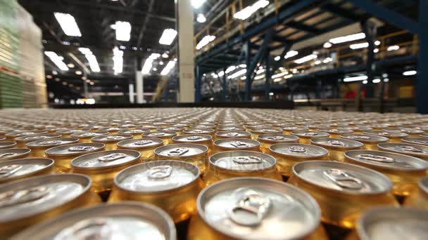 Beer cans on conveyor belt — Stock Video