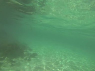 Sualtı Yüzme kişi