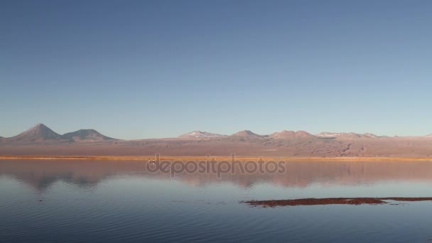 Montagnes dans le désert d'Atacama — Video