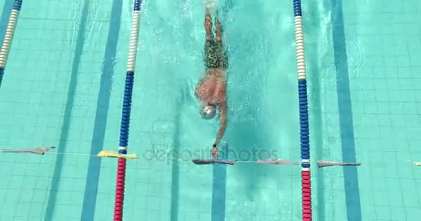 プールで泳いでいるスイマー — ストック動画
