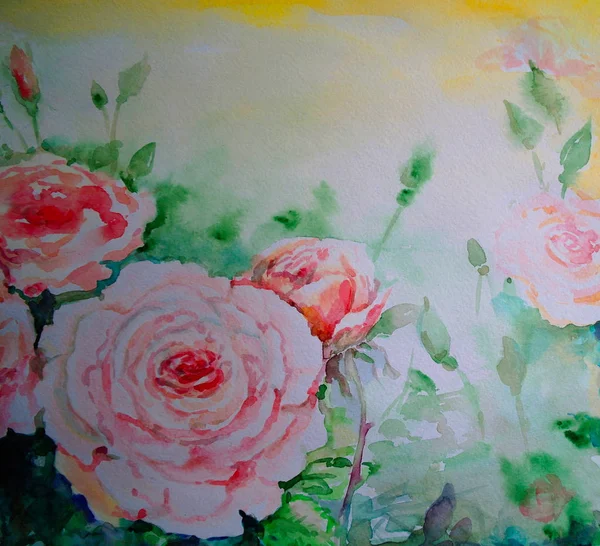 Watercolor paintings rose, flowers. The art