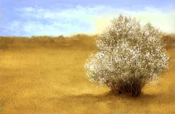 Digitale Ölgemälde Landschaft Baum Feld Schöne Kunst — Stockfoto