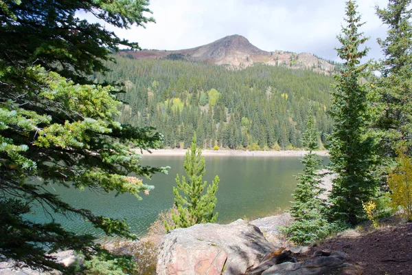 Jefferson gölünün vahşi doğa