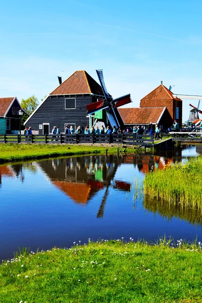 Zaanse Schans Нидерланды — стоковое фото