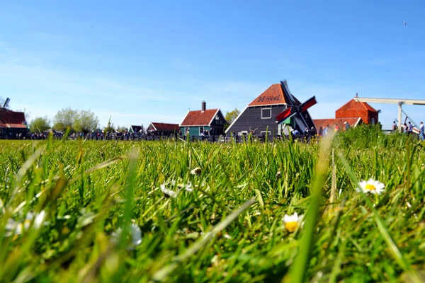 Zaanse Schans  Netherlands — 스톡 사진