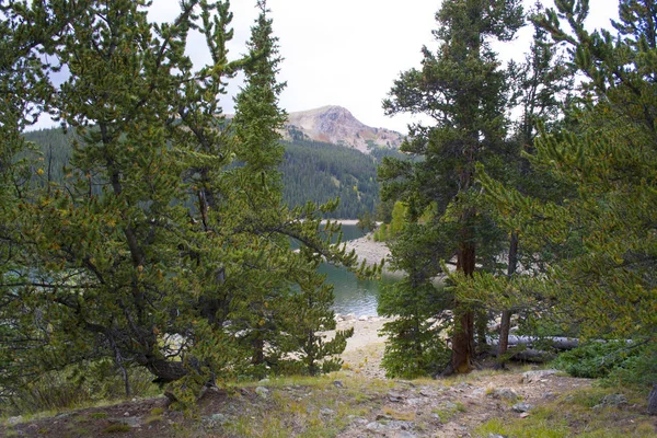 Wilde natuur van de Jefferson Lake recreatie — Stockfoto