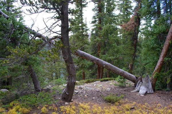 Jefferson göl rekreasyon vahşi doğa