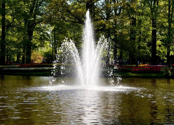 Une fontaine dans le parc Keukenhof aux Pays-Bas — Photo