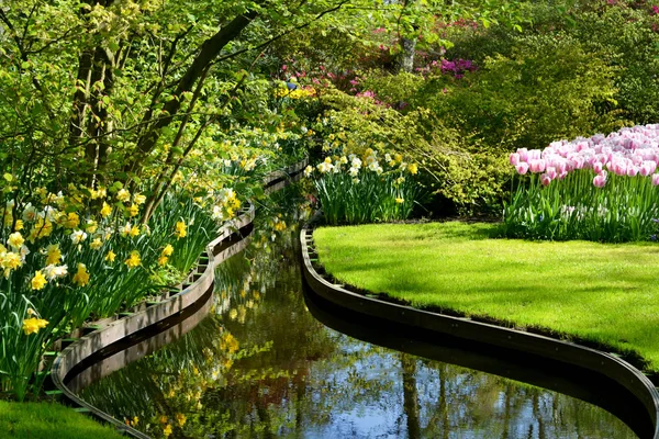 Renkli nehir manzara çiçeklerle bahar Hollandalı Bahçe Keukenhof, Hollanda