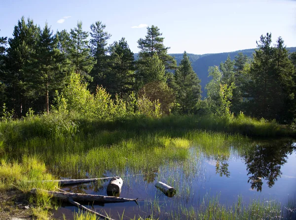 Tipik Norveç sayısı