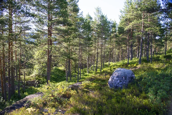 Typisch norwegische Ansichten — Stockfoto