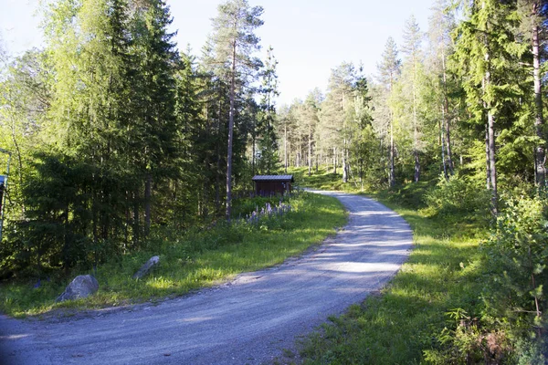 Tipik Norveç sayısı