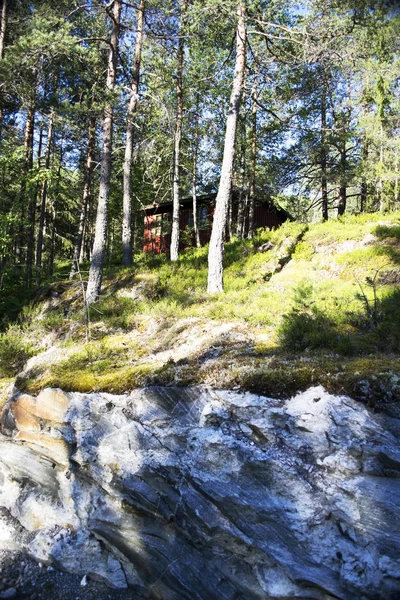 Tipik Norveç sayısı