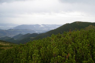 Karpat Dağları, Europe, yaz yatay. Yüksek dağ zirveleri.