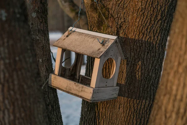 Hölzerne Vogelfutterstelle auf einem Baum an einem sonnigen Wintertag — Stockfoto