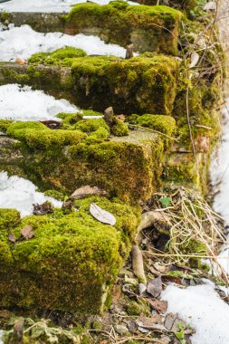 Eski bir tuğla merdiven üzerinde kış üzerinde yosun