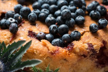 Ev yapımı yaban mersinli pasta makro closeup görünümü