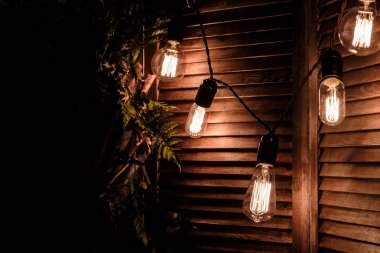 Garland Retro güzel lamba ışıkları fern ile koyu arka plan üzerinde renkli ışıklar ile yaprakları dekorasyon ahşap kepenkleri