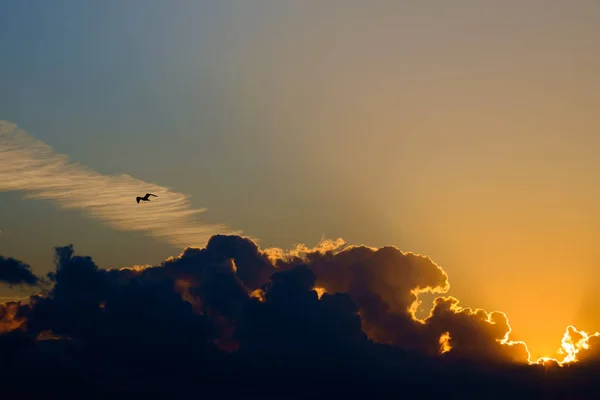 Цветное небо заката / восхода солнца с облаками — стоковое фото
