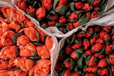 Parlak renkli kırmızı ve turuncu Lale çiçek pazarı demet.
