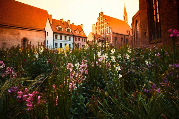 Fowers i kolorowych budynków z Saint John Kościół luterański w starego miasta w Rydze na ulicy Skarnu w Rydze, Łotwa. — Zdjęcie stockowe
