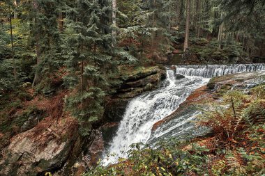 Doğa çam İskandinav dağ orman akşam ışık şelale. Islak soğuk kaya taşları Kuzey yosun kaplı. İskandinav çam ağacı orman arka plan. Seyahat kavramı. Manzaralı.