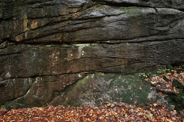 Muschio sulla struttura di pietra di roccia enorme. Sfondo di muschio. Muschio verde sul muro di pietra con foglie autunnali a terra . — Foto Stock