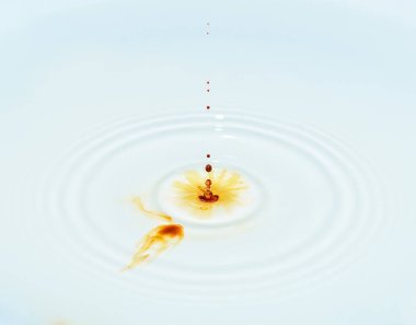 Süt üzerinde renkli damla