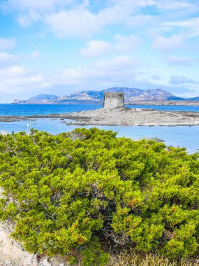 Pelosa Capo Falcone HDR görünümü