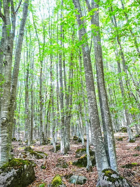 HDR Monte Amiata — Fotografia de Stock