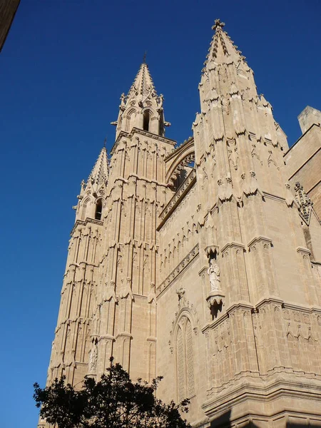 La seu cathedral in palma de mallorca — стоковое фото