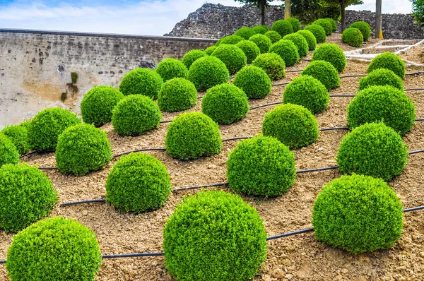 HDR Chateau Amboise kasteel — Stockfoto