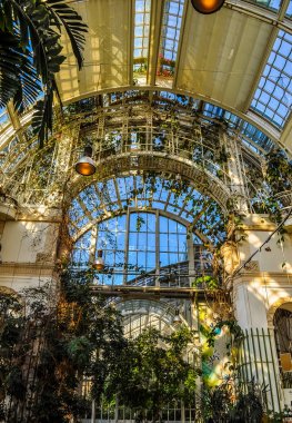 Wien, Avusturya - Şubat 2016 yaklaşık: Büyük bir sera yüksek dinamik aralık (Hdr) Palmenhaus Schoenbrunn olan