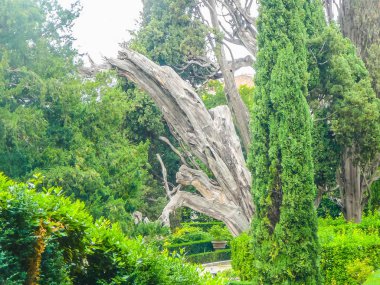 Yüksek dinamik aralık (Hdr) Antik Roma gardens Villa D este Tivoli Roma, İtalya