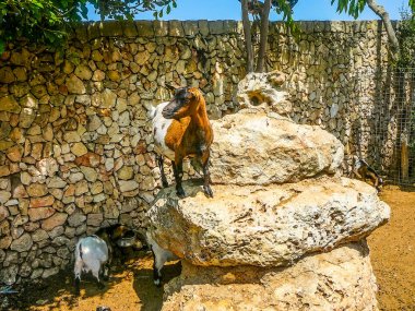 Yüksek Dinamik Aralık (Hdr) görünümü Minorca İspanya'nın La Ciutadela