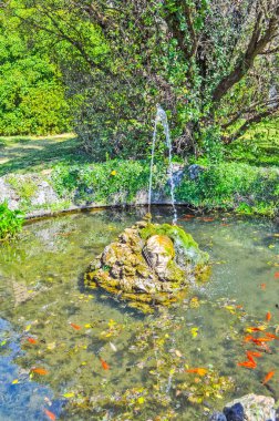 Yüksek Dinamik Aralık (Hdr) çeşme ile goldfishes Aglie bir şatoda, Piedmont, İtalya