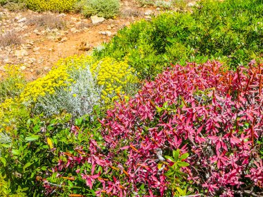 Yüksek dinamik aralık (Hdr) görünümü, Punta Prima, ada Menorca, İspanya
