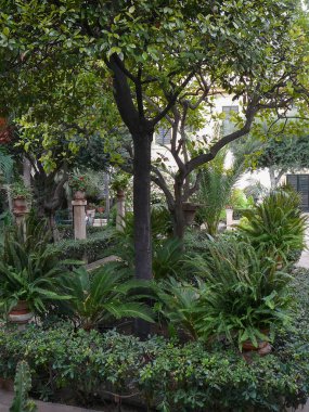 Palma De Mallorca, İspanya - Eylül 2016 yaklaşık: Kenti