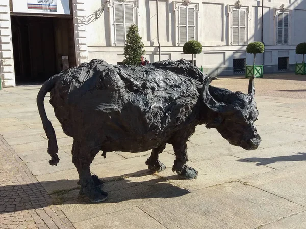 Turin Italy Circa October 2016 Bufale Mediterranee Meaning Mediterranean Buffaloes — Stock Photo, Image